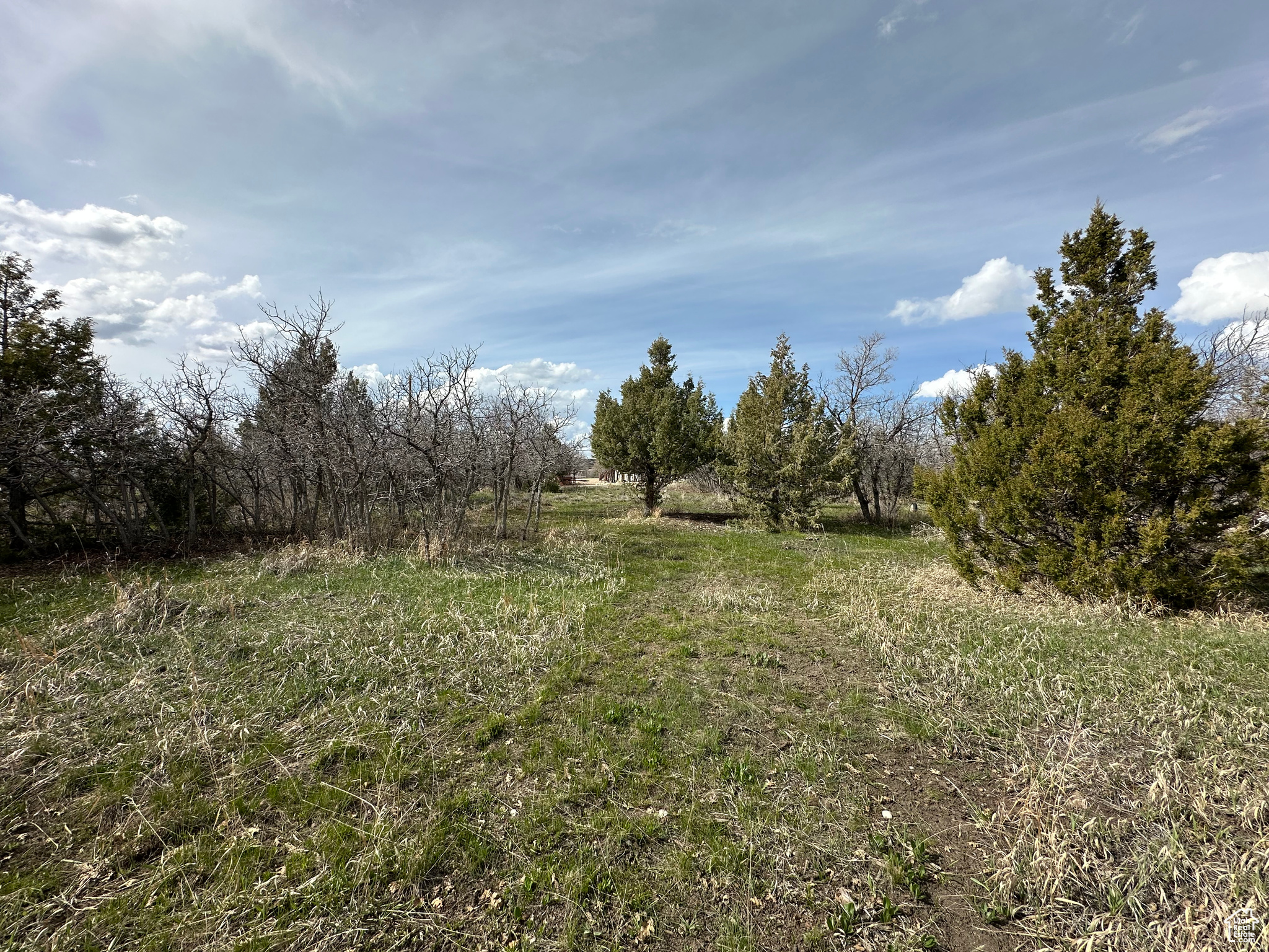 WHISPERING PINES SUBD PHASE 3 - Land