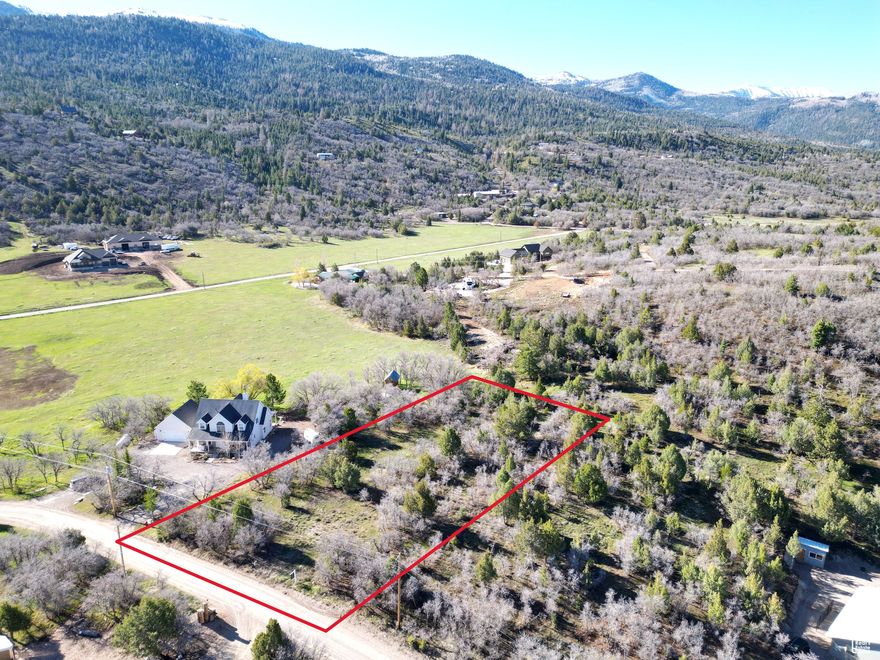 Welcome to Whispering Pines III, a year-round gated community with private pond and beautiful mountain and valley views.  This one-acre, completely flat, buildable parcel sits adjacent to the meadow and walking distance to the pond. This picturesque land has water and power and is ideal for your primary mountain residence or weekend retreat.  Septic will need to be installed and also propane.  Located approximately 6 miles southeast of Mt. Pleasant, with the conveniences of dining, shopping and catching an evening movie under the stars and the iconic Basin Drive-in, which has the best burgers in the state! All information within is provided as a courtesy only.  Buyer and Buyer's agent are advised to complete their own due diligence and measurements.  Lot/boundary lines are shown as approximate.