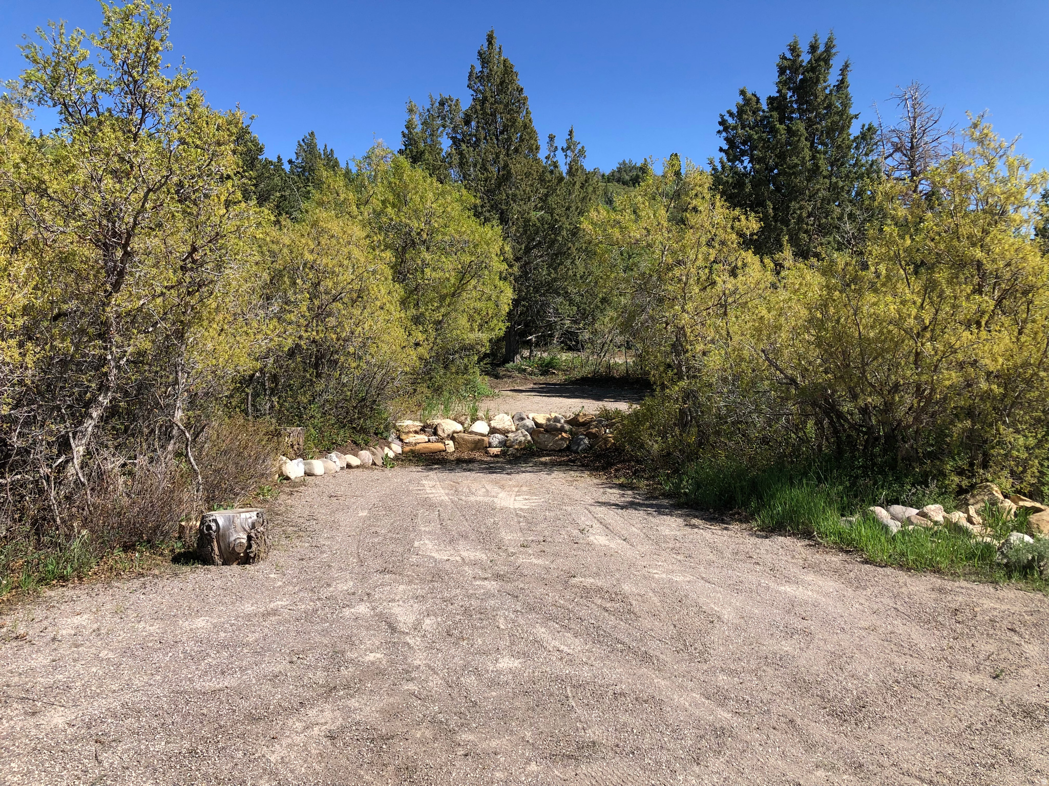 SPRING CITY RANCHERO - Land