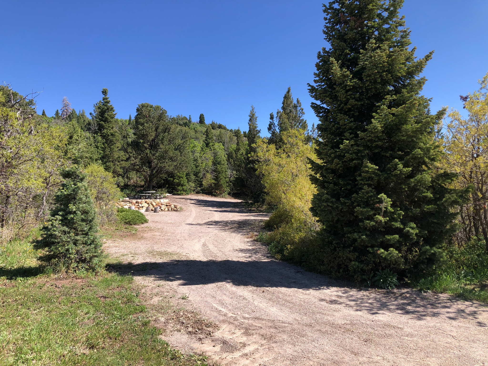 SPRING CITY RANCHERO - Land