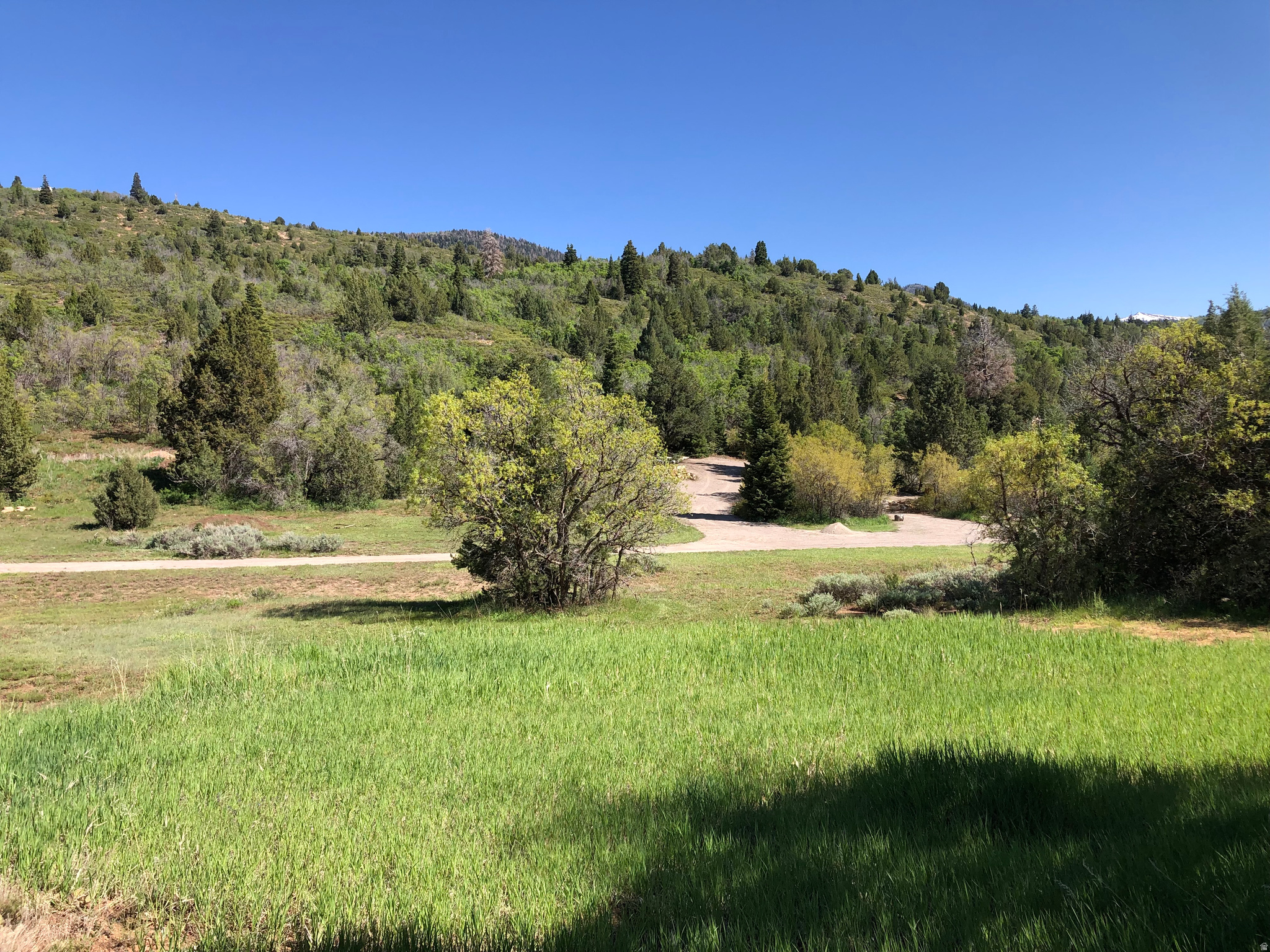 SPRING CITY RANCHERO - Land