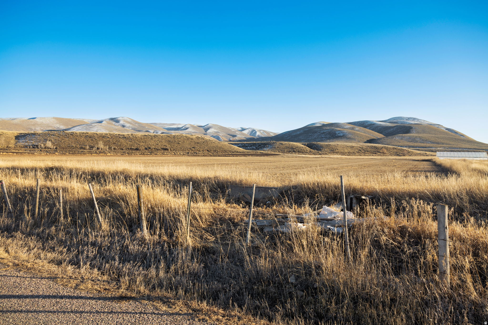 PRAIRIE DREAMS - Land