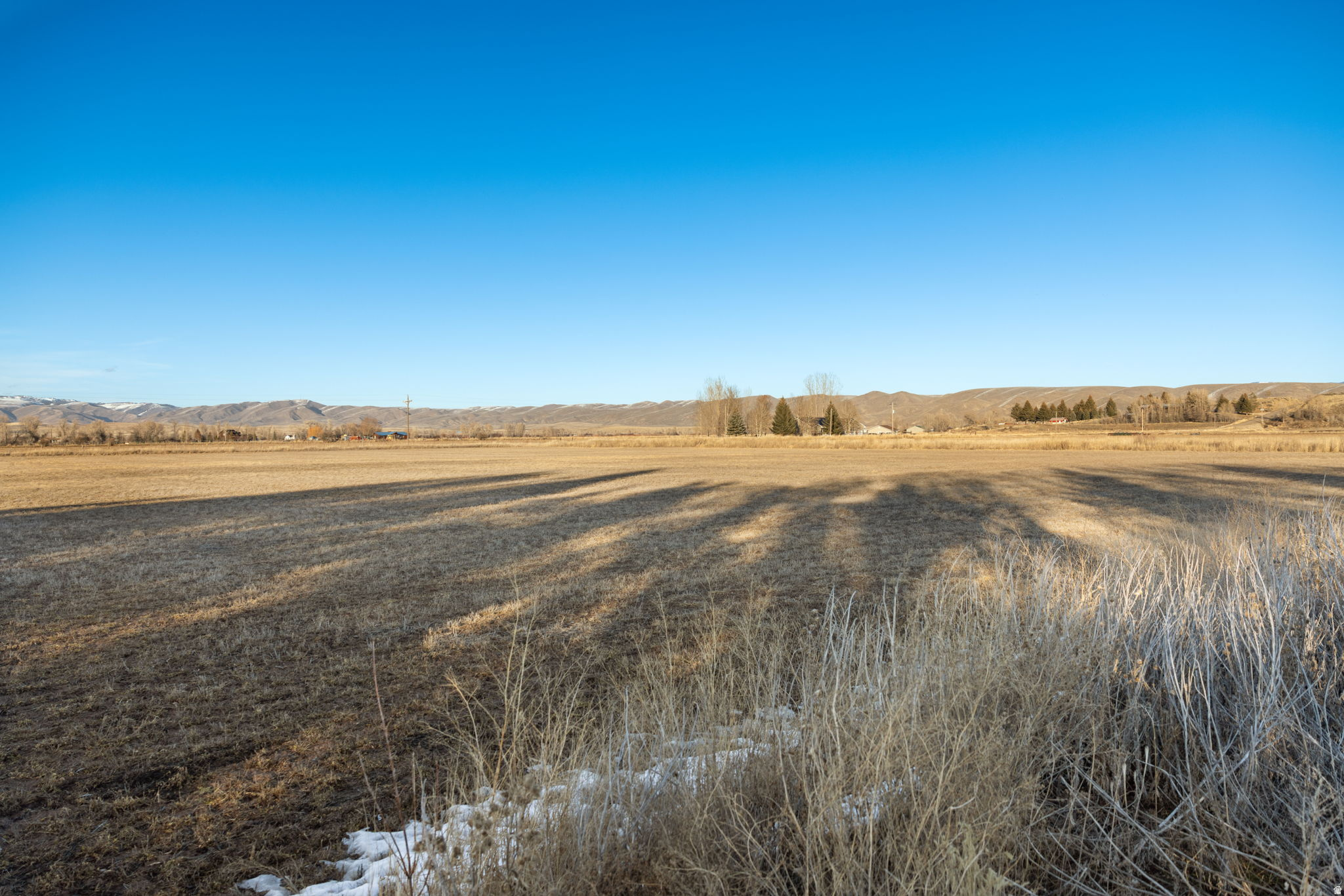 PRAIRIE DREAMS - Land