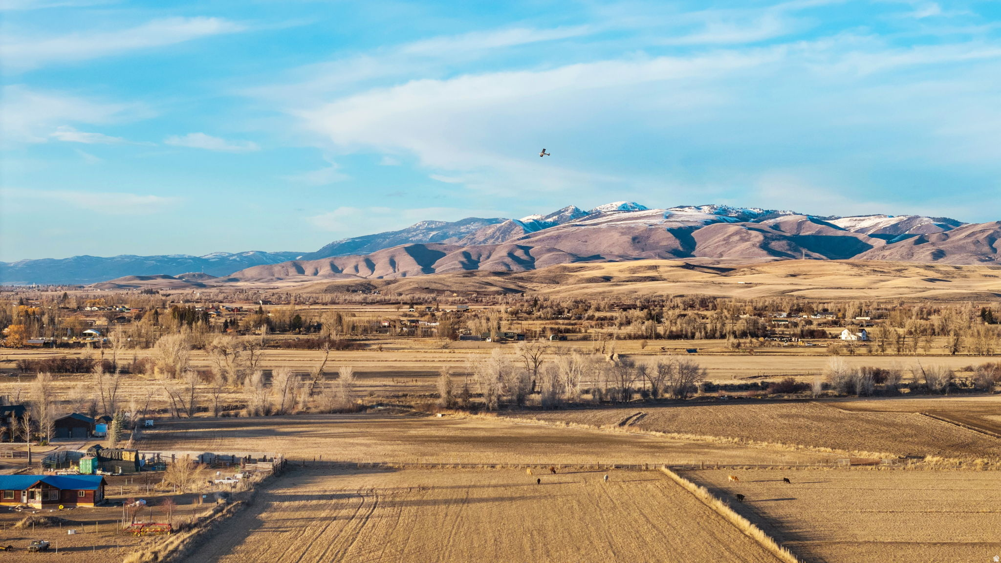 PRAIRIE DREAMS - Land