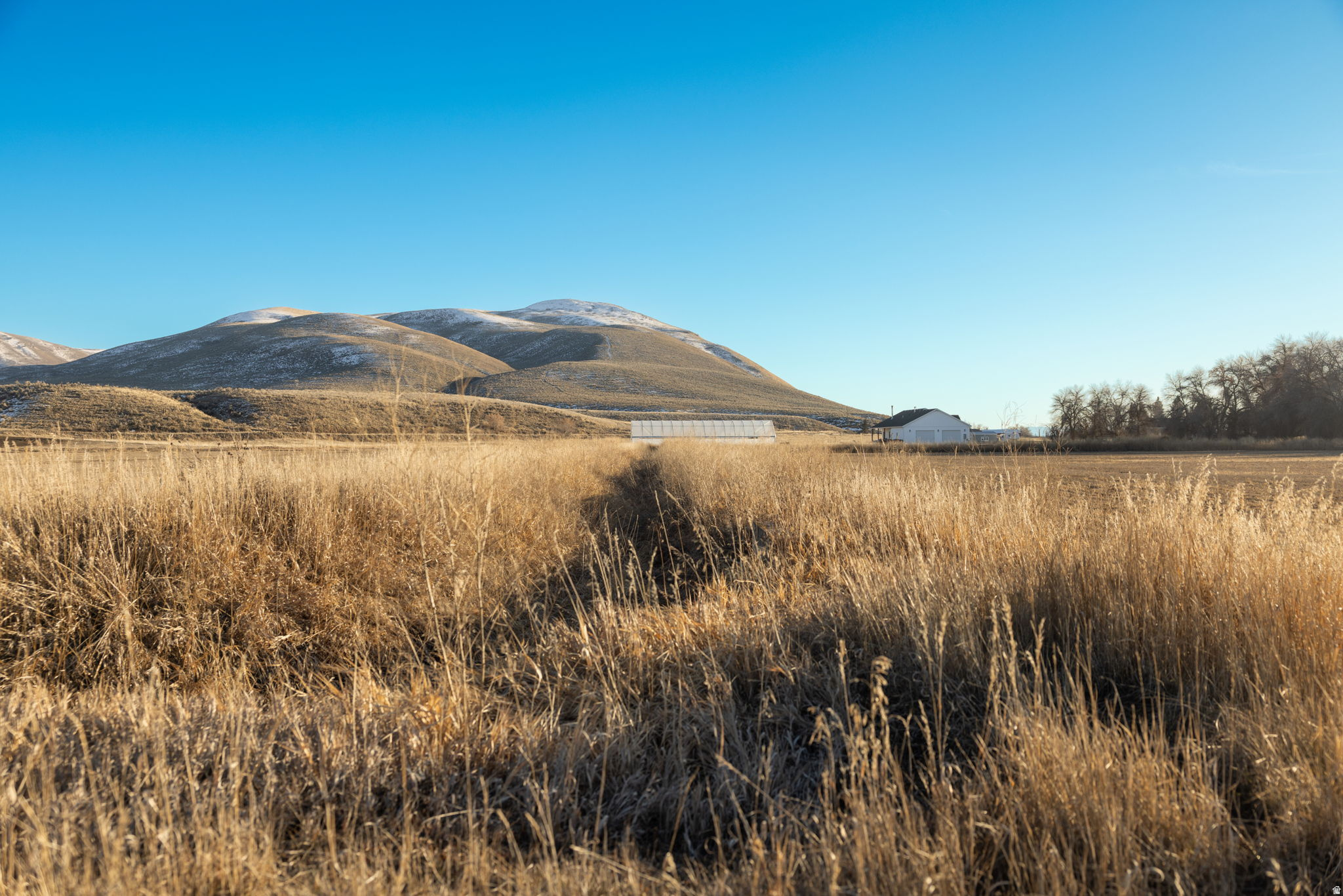 PRAIRIE DREAMS - Land