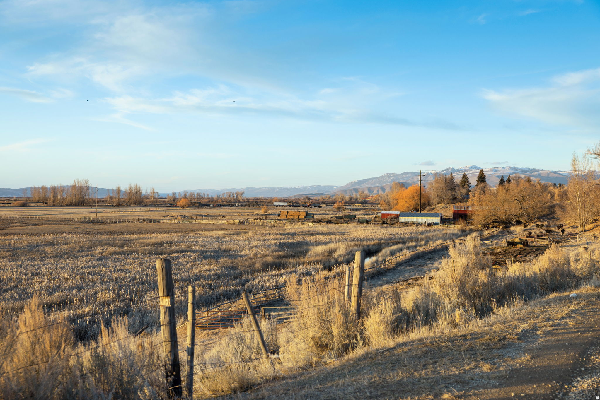PRAIRIE DREAMS - Land