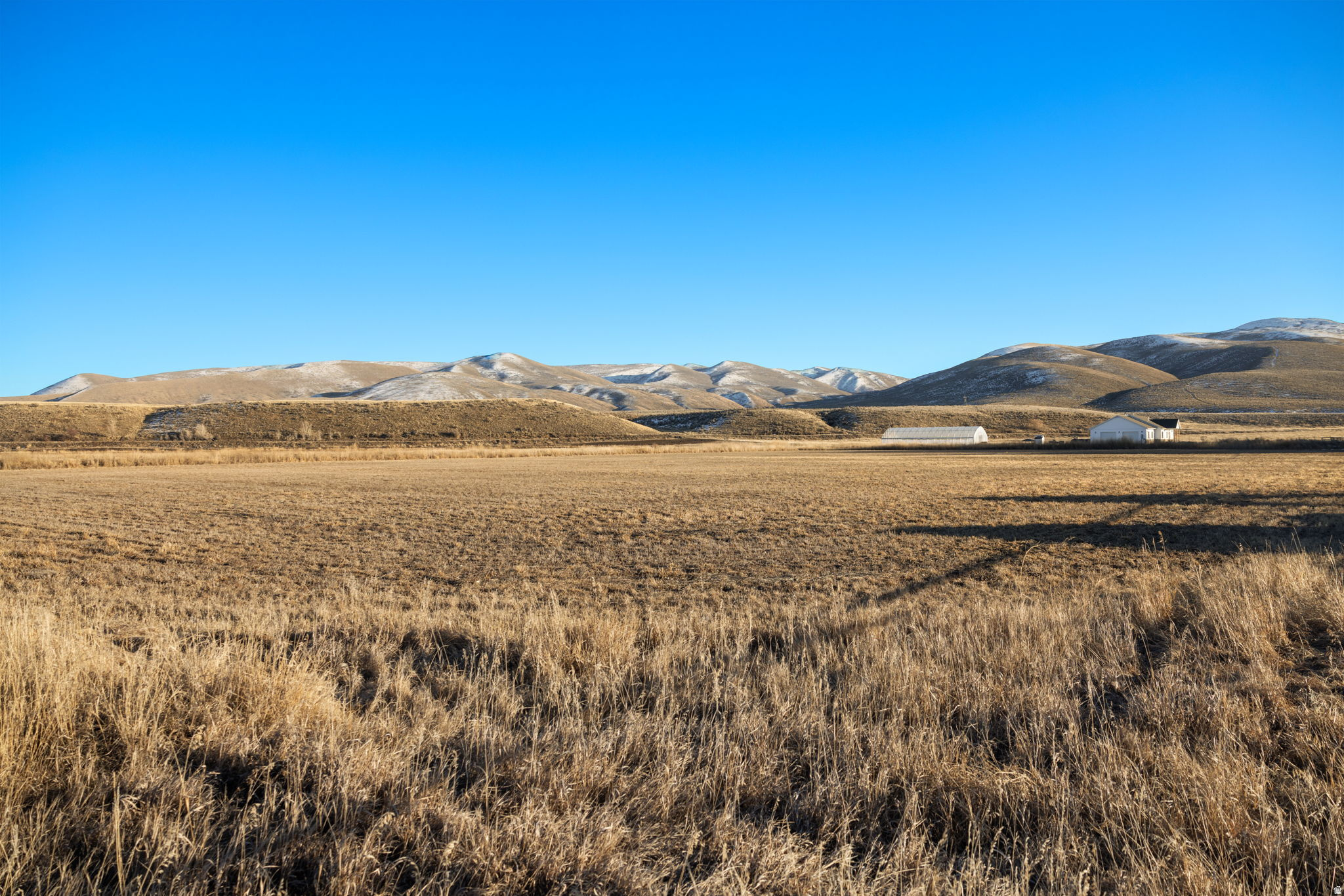 PRAIRIE DREAMS - Land