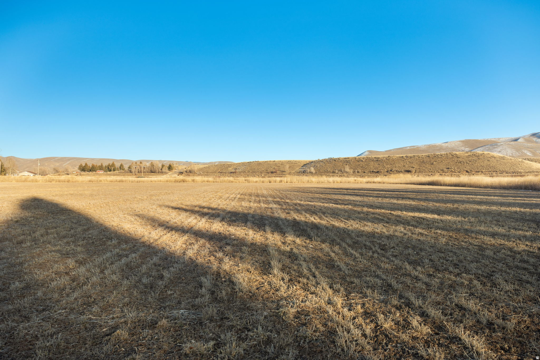 PRAIRIE DREAMS - Land