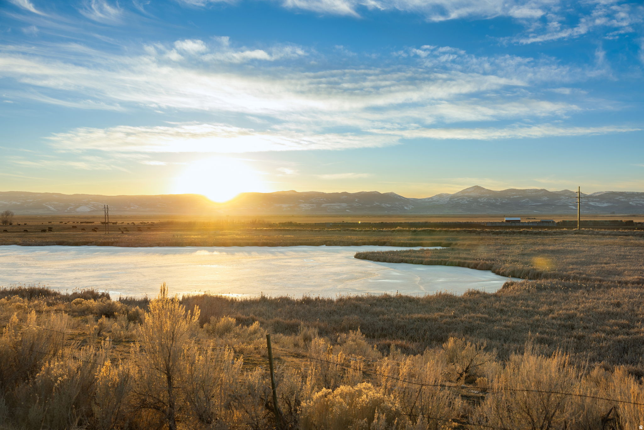 PRAIRIE DREAMS - Land