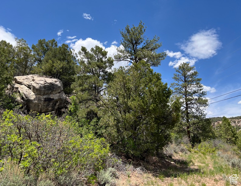 Land, La Sal, Utah image 5