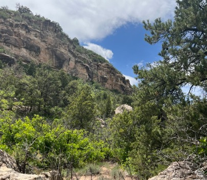 Land, La Sal, Utah image 34