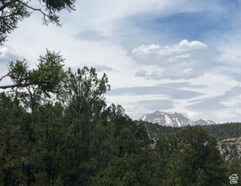 Land, La Sal, Utah image 10