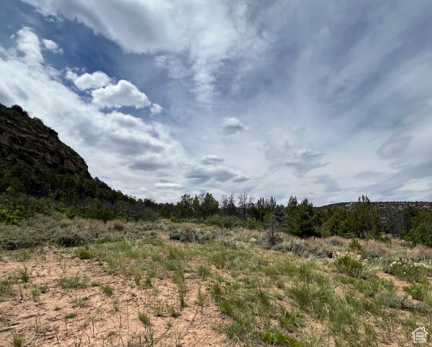 Land, La Sal, Utah image 28