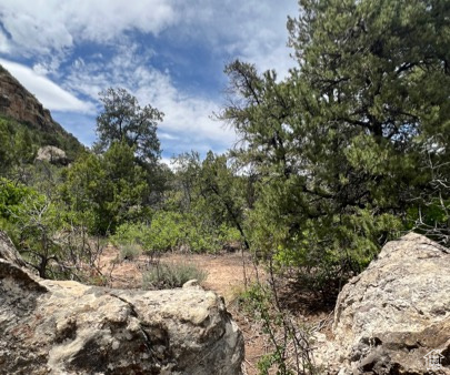 Land, La Sal, Utah image 36