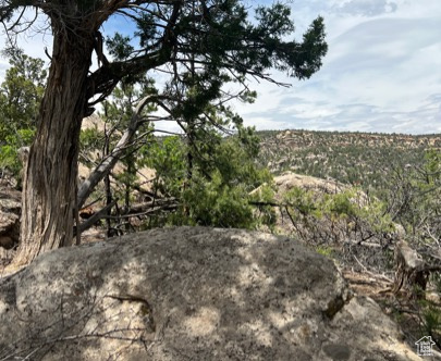 Land, La Sal, Utah image 39