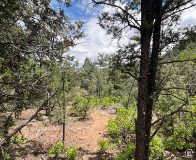 Land, La Sal, Utah image 43