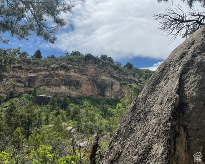 Land, La Sal, Utah image 38