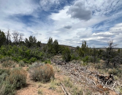 Land, La Sal, Utah image 47