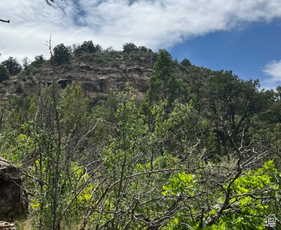 Land, La Sal, Utah image 33