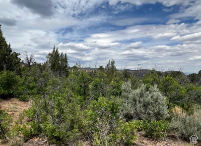 Land, La Sal, Utah image 46