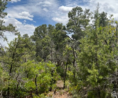 Land, La Sal, Utah image 40