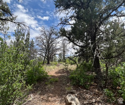 Land, La Sal, Utah image 37