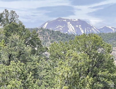 Land, La Sal, Utah image 31