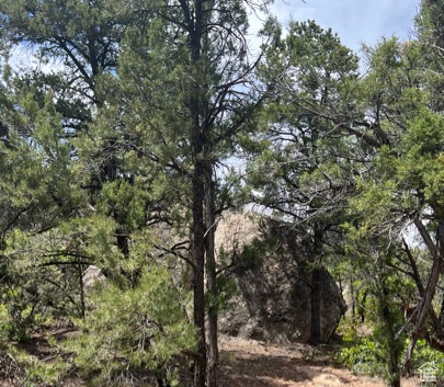 Land, La Sal, Utah image 35