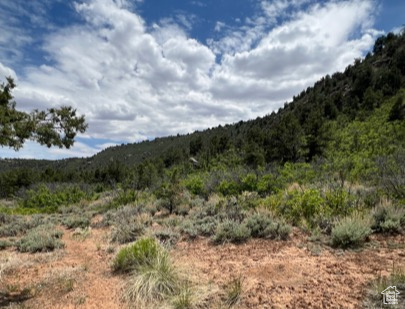 Land, La Sal, Utah image 44