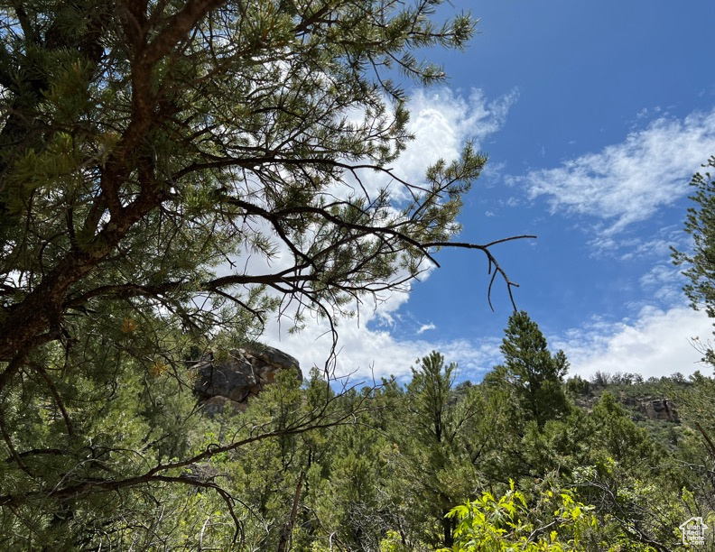 Land, La Sal, Utah image 8