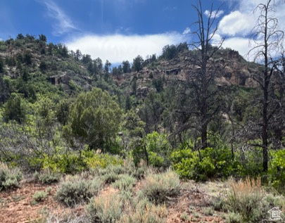 Land, La Sal, Utah image 45