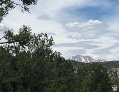 Land, La Sal, Utah image 30