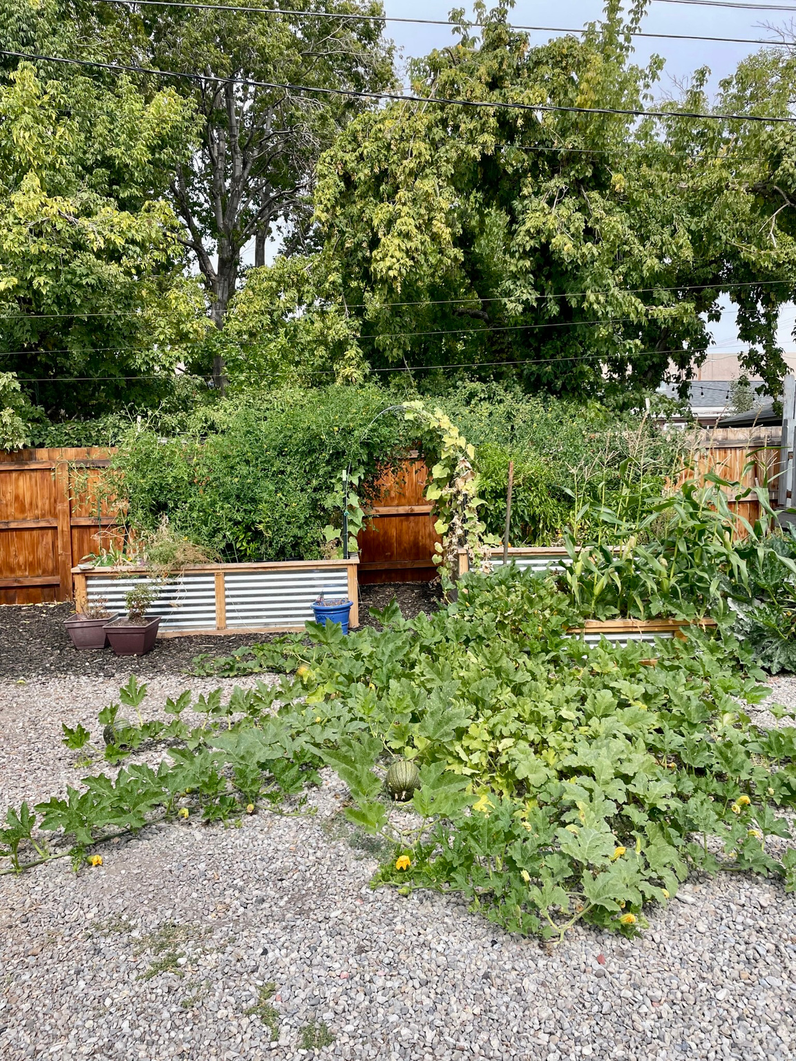 PLAT A BIG FIELD SUR - Residential