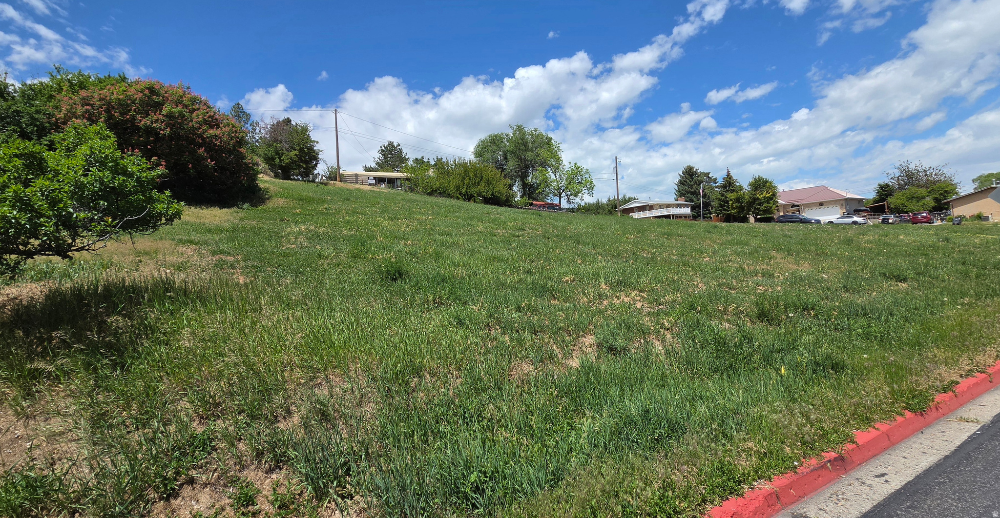 Expansive sloped lot featuring natural grass, mature trees, and an asphalt street with a red curb