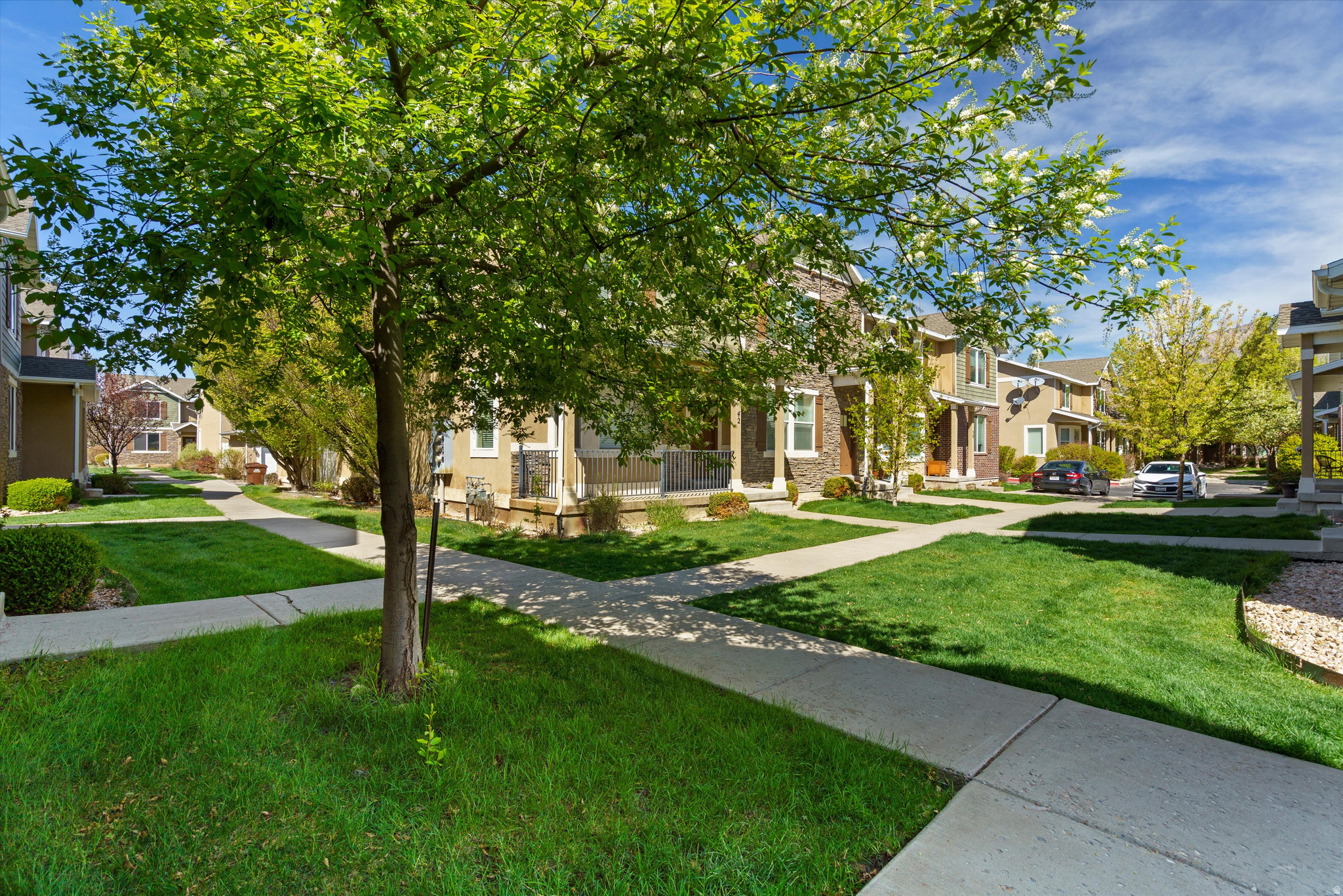 COVE @PLEASANT VIEW - Residential