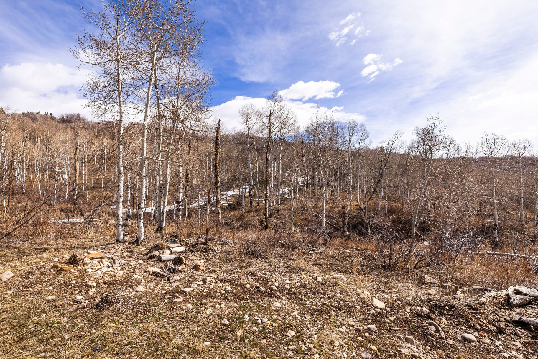 STAGE COACH ESTATES - Land