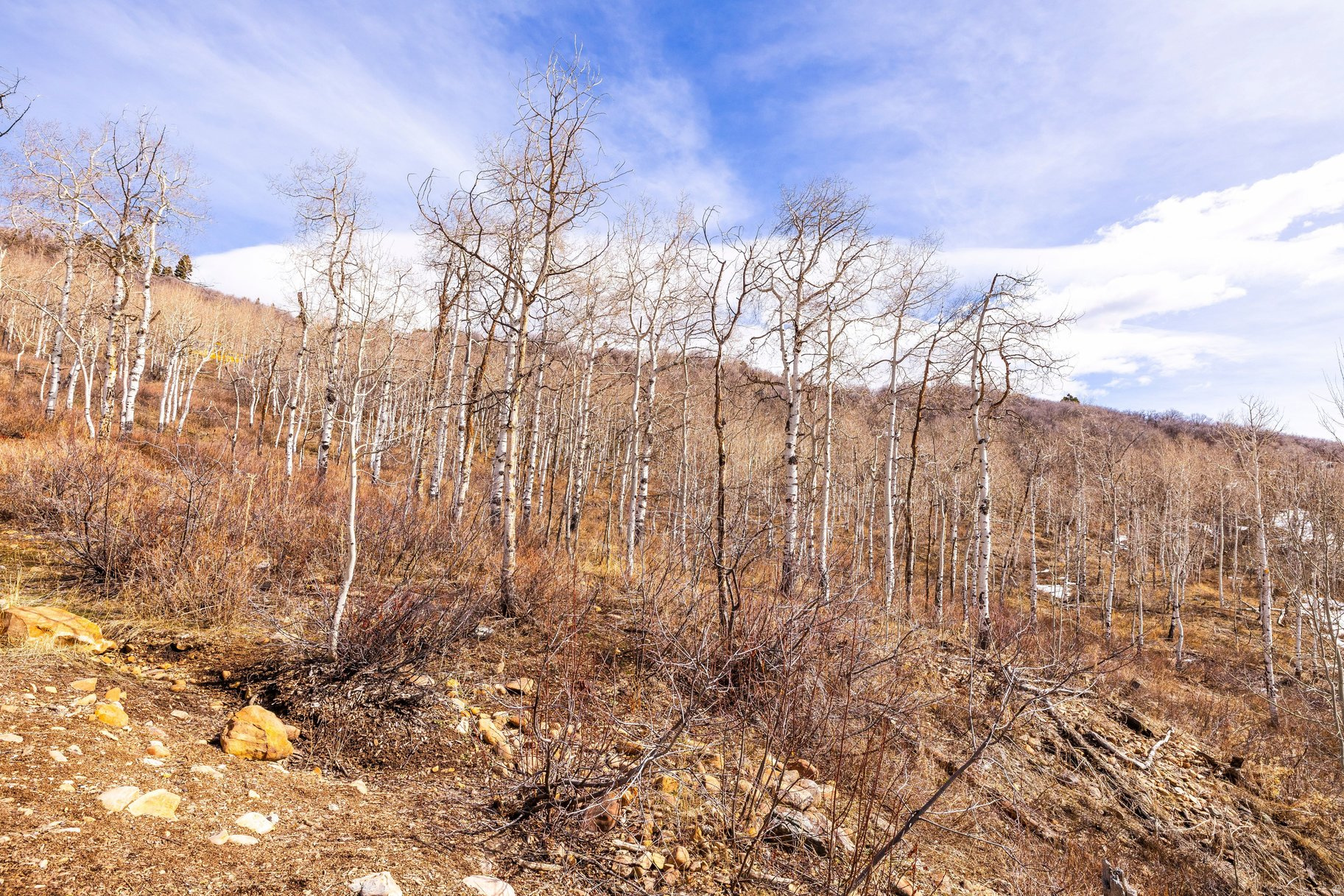 STAGE COACH ESTATES - Land