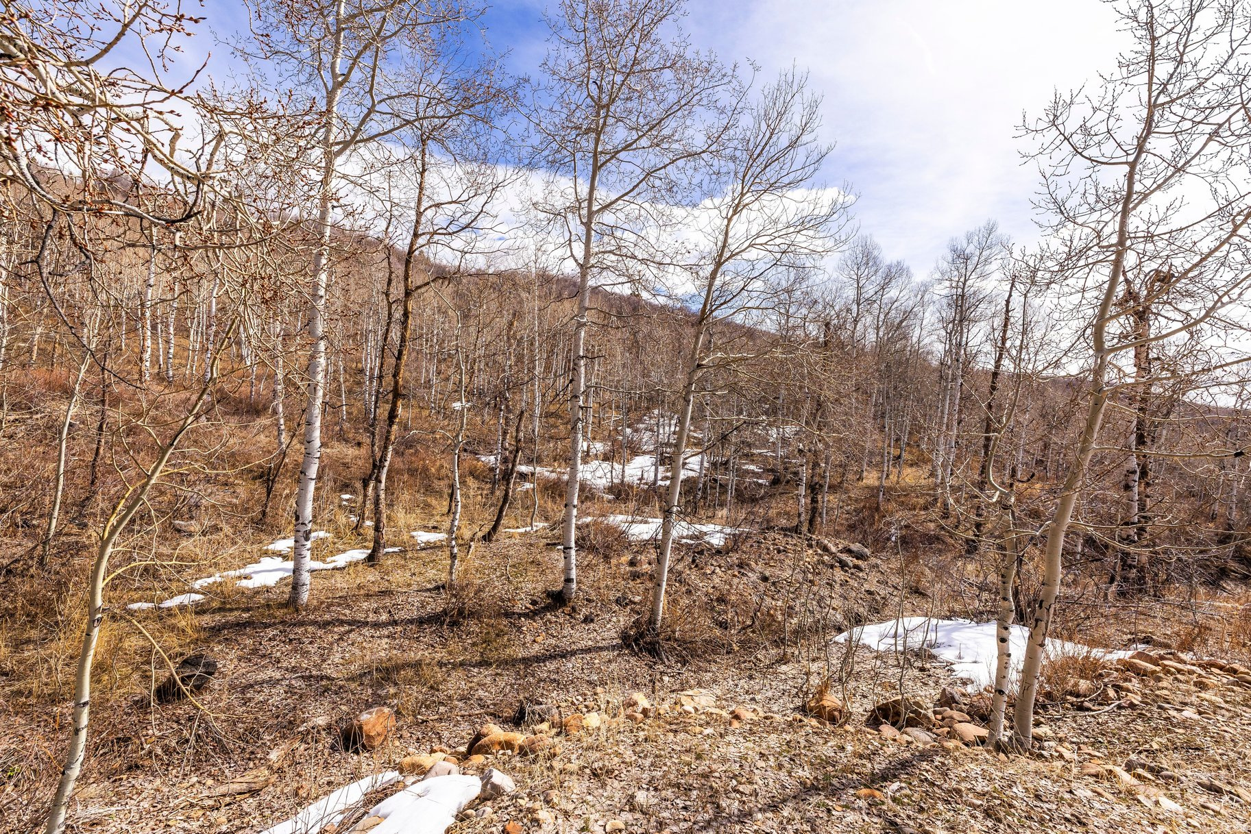 STAGE COACH ESTATES - Land