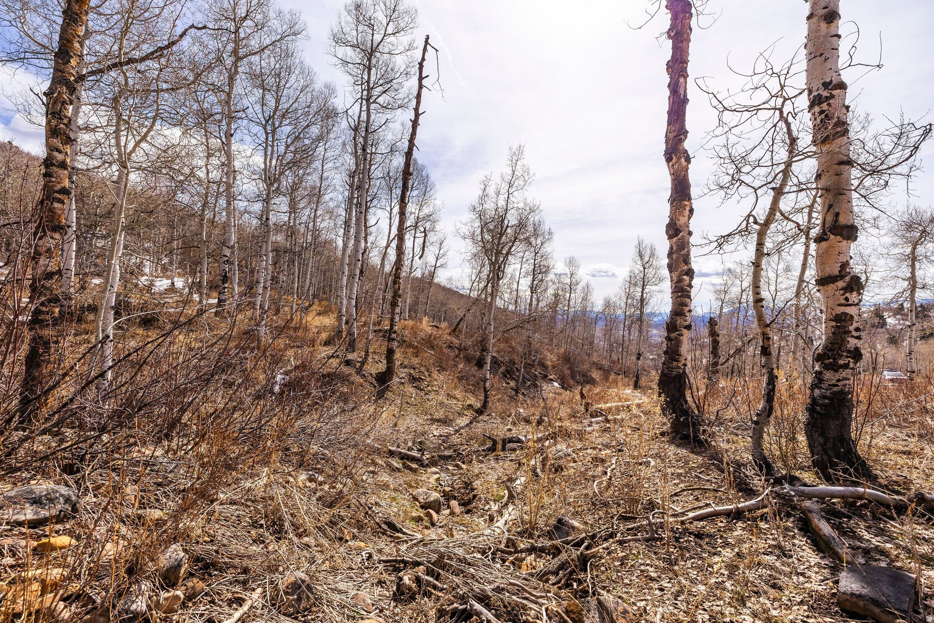 STAGE COACH ESTATES - Land