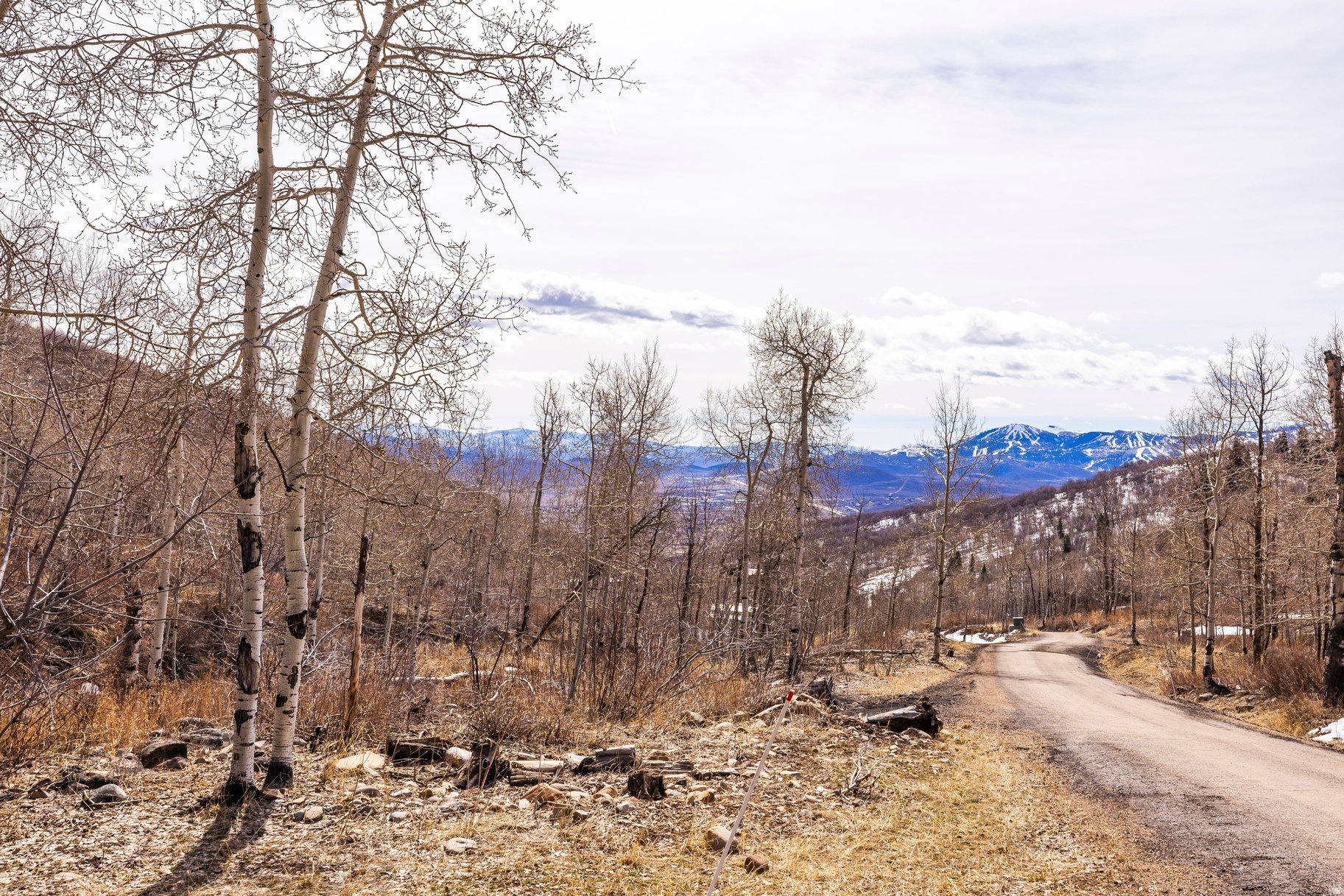 STAGE COACH ESTATES - Land