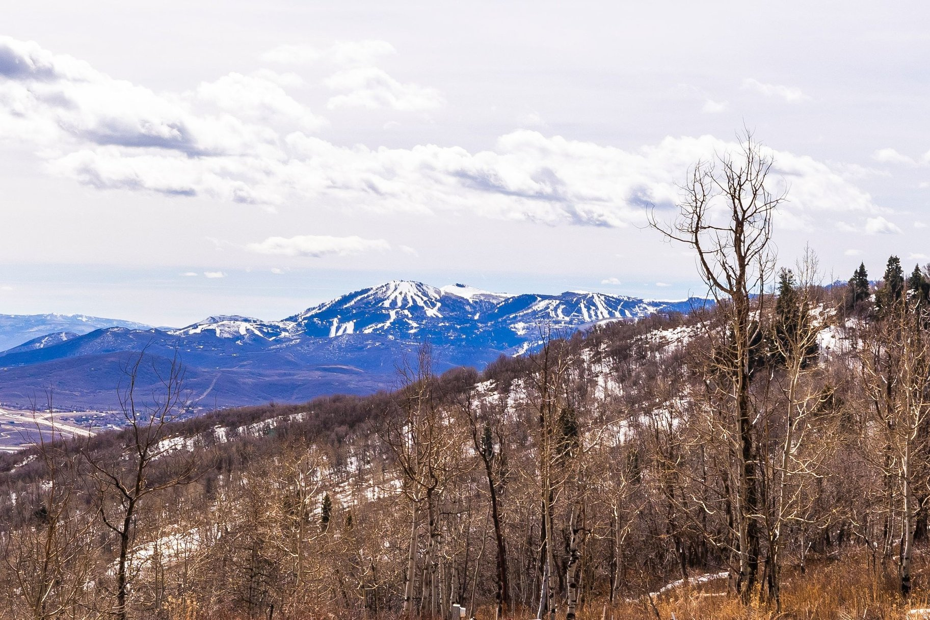 STAGE COACH ESTATES - Land