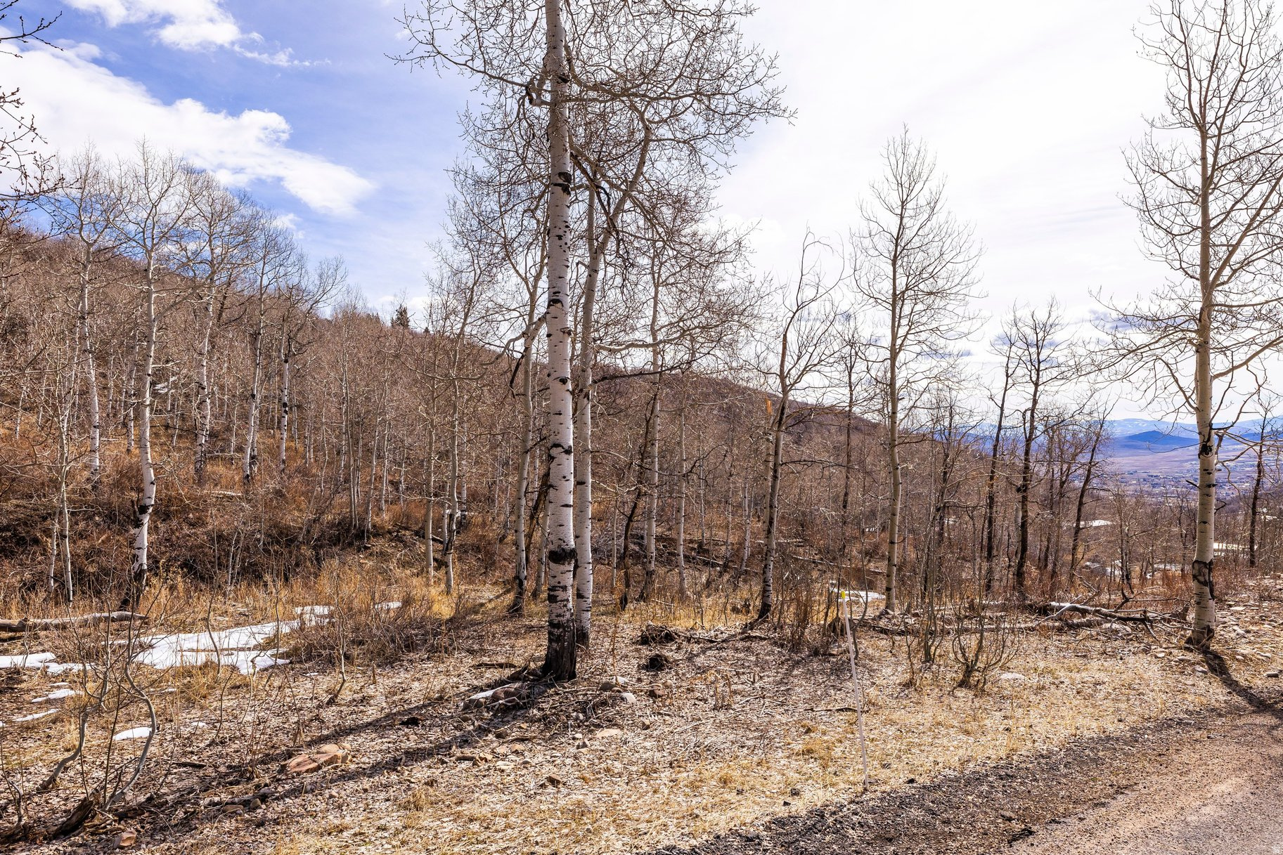 STAGE COACH ESTATES - Land