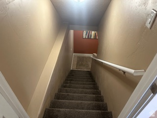 CHILD FARM - Residential