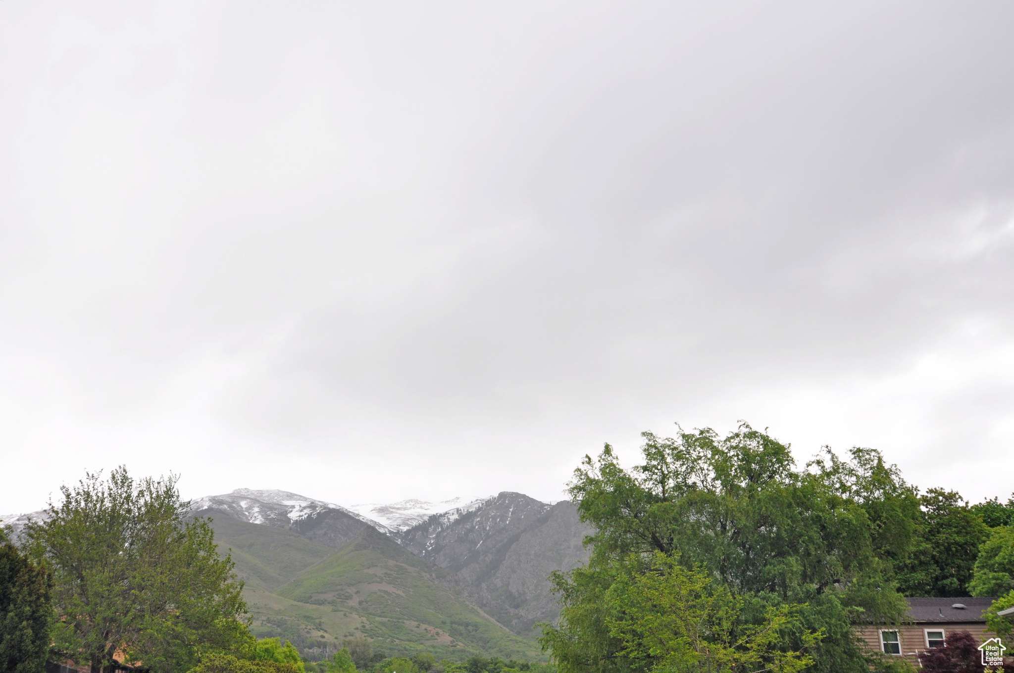 2539 E Oak Ln, Layton, Utah image 49