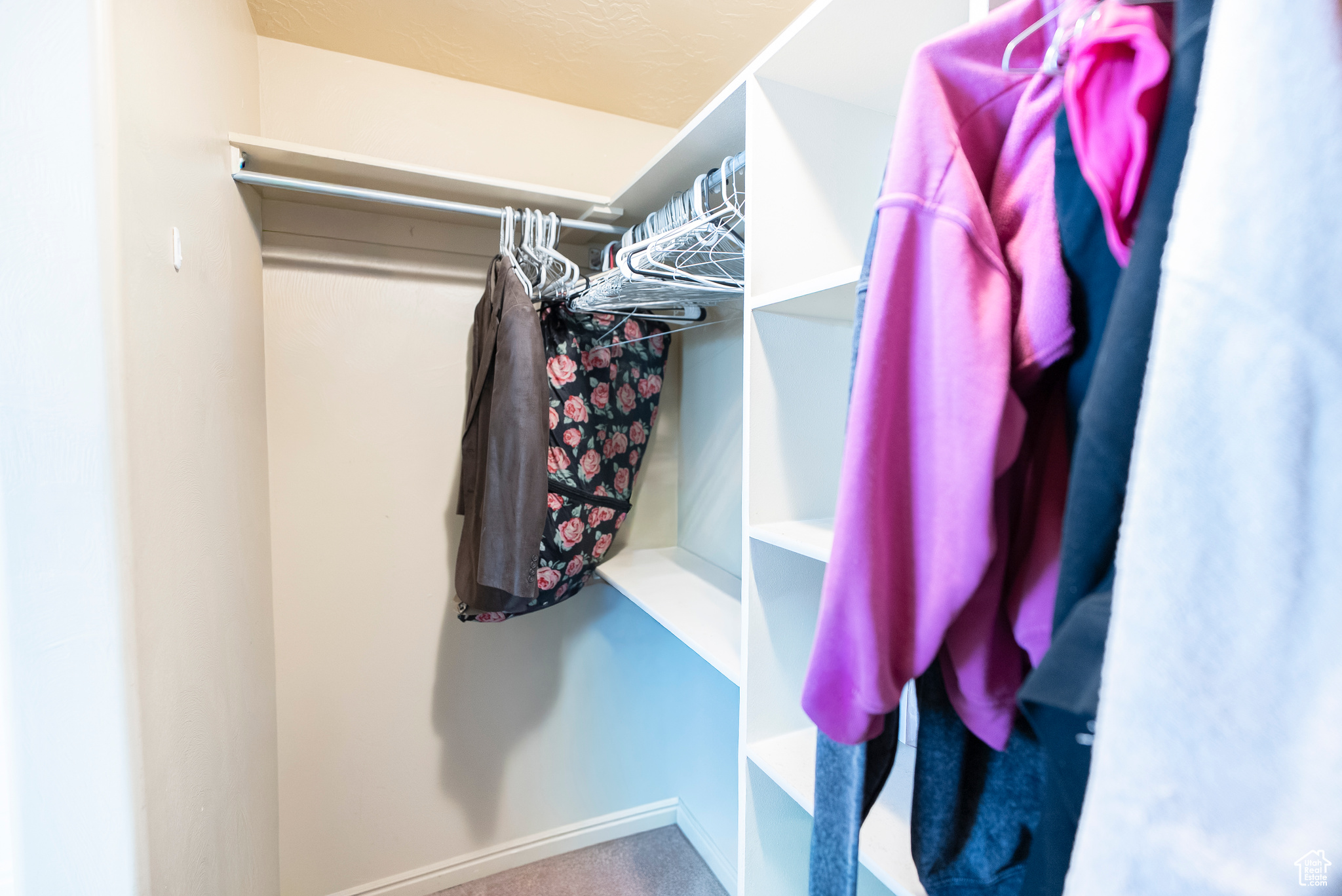 CEDAR WILLOWS SUBDIVISION - Residential