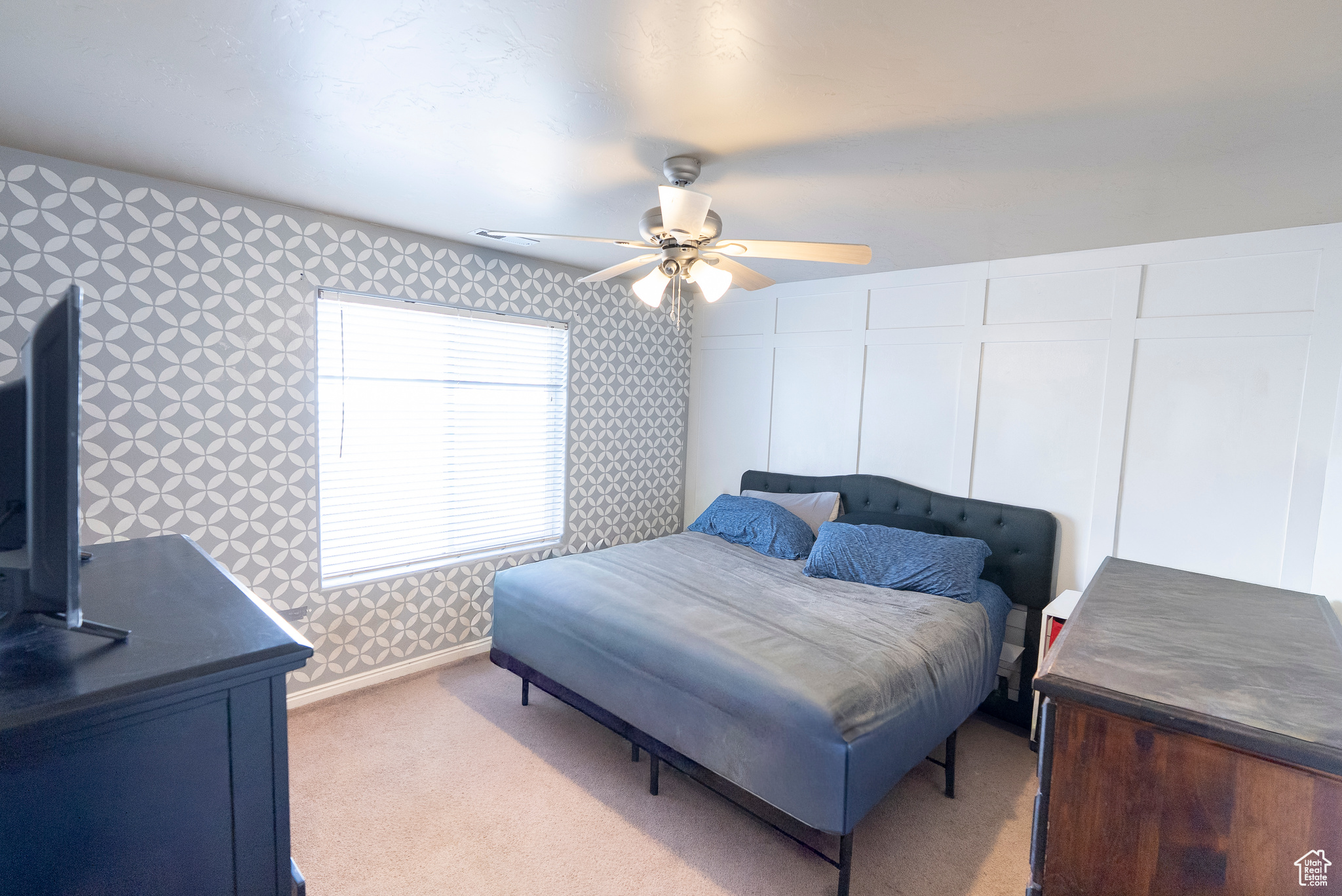 CEDAR WILLOWS SUBDIVISION - Residential