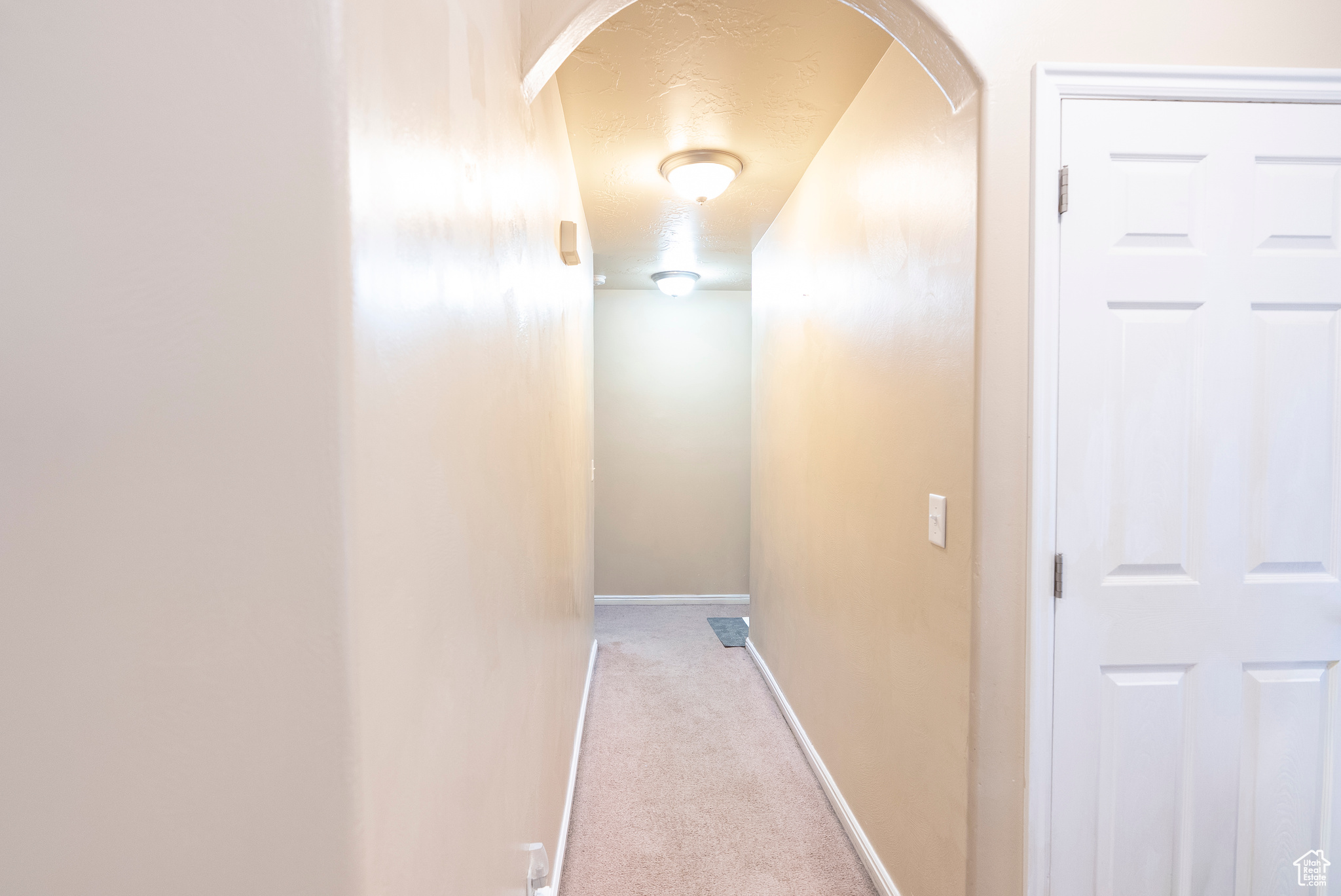 CEDAR WILLOWS SUBDIVISION - Residential