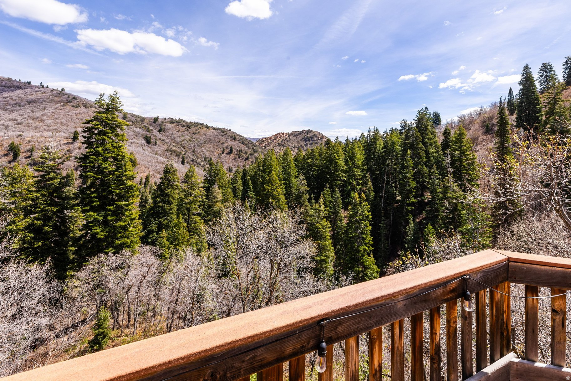 THE GROVES - Residential