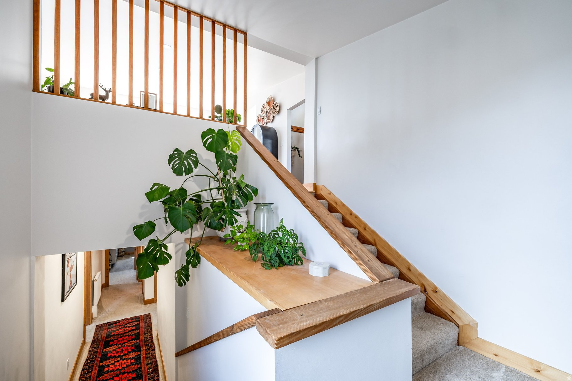 THE GROVES - Residential