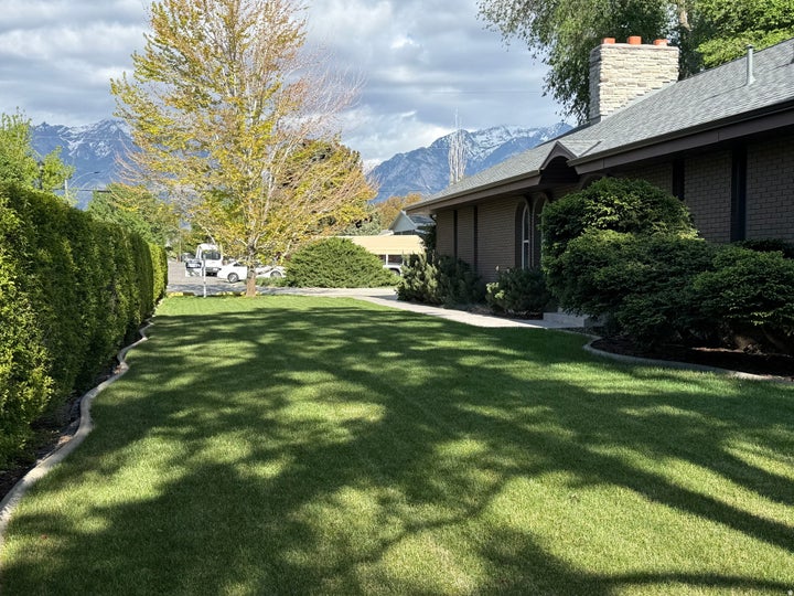Manicured lawn with mature privacy hedge and established landscaping